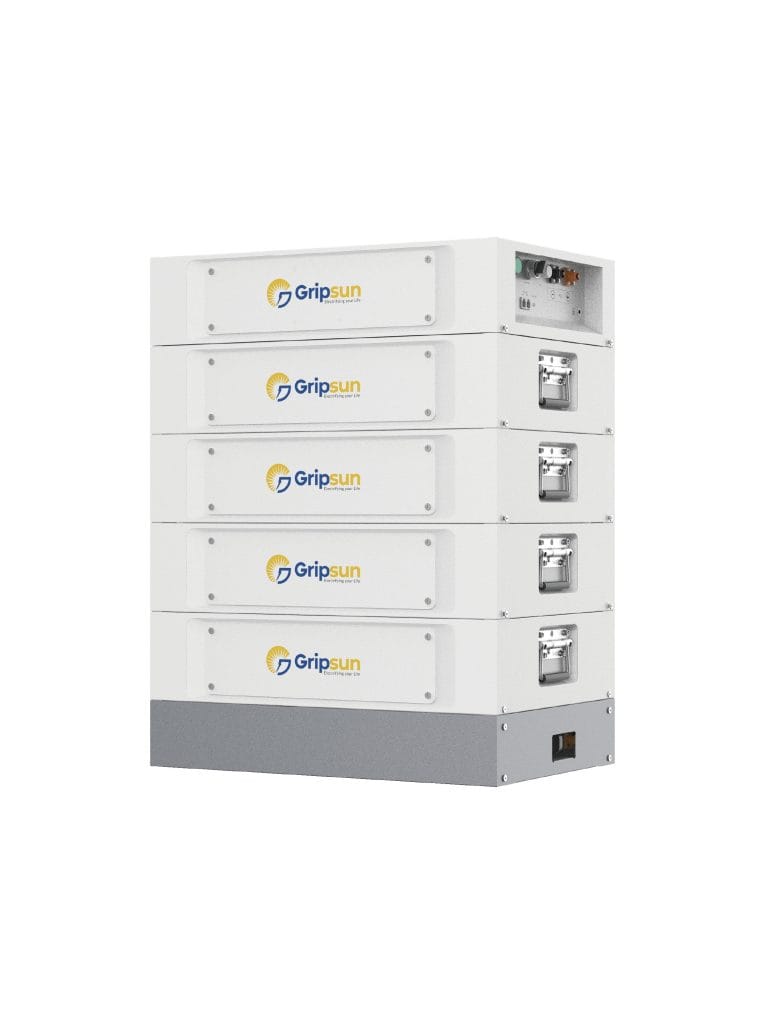 Gripsun_Lithium_Ion_battery (2)