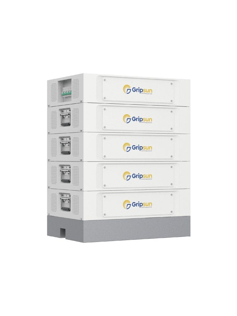 Gripsun_Lithium_Ion_battery (3)