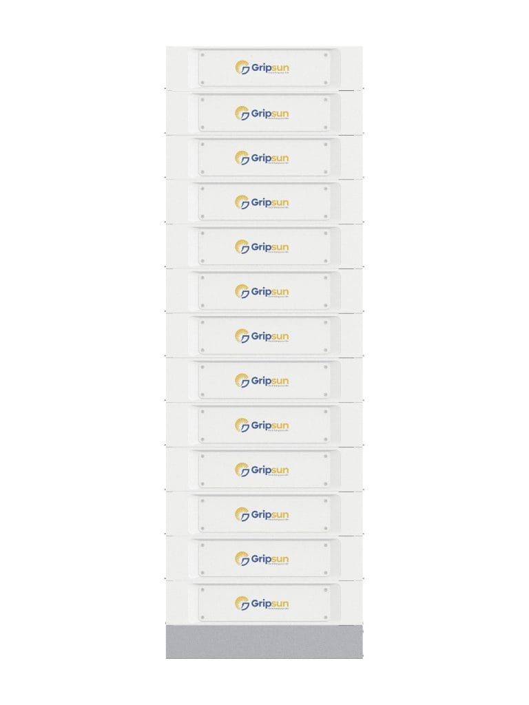 Gripsun_Lithium_Ion_battery (7)